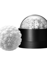 Tenga Tenga GEO Coral