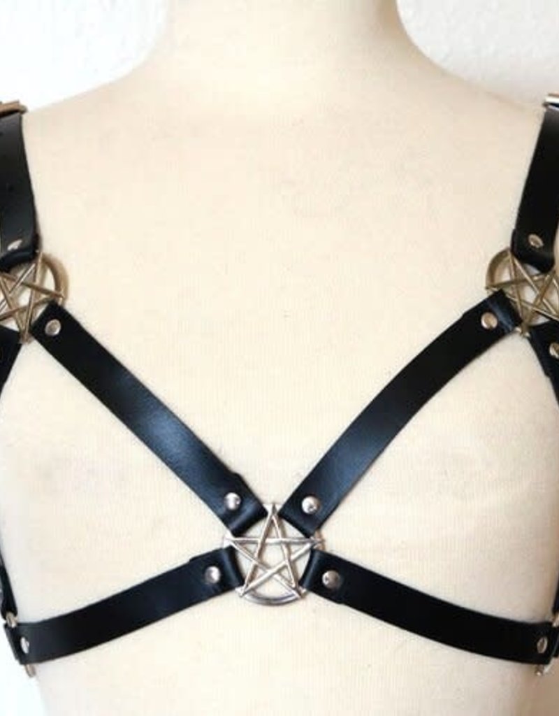Touch of Fur Adjustable Leather Pentagram Harness