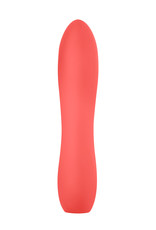 Luv Lab by FemmeFunn Luv Lab Large Silicone Bullet
