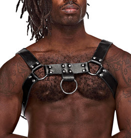 Male Power Aries Leather Harness - One Size - Black