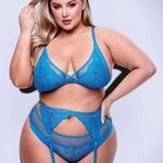 Baci 3pc Lace & Mesh Bra, Garter, Panty Set - Queen Size