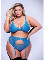 Baci 3pc Lace & Mesh Bra, Garter, Panty Set - Queen Size