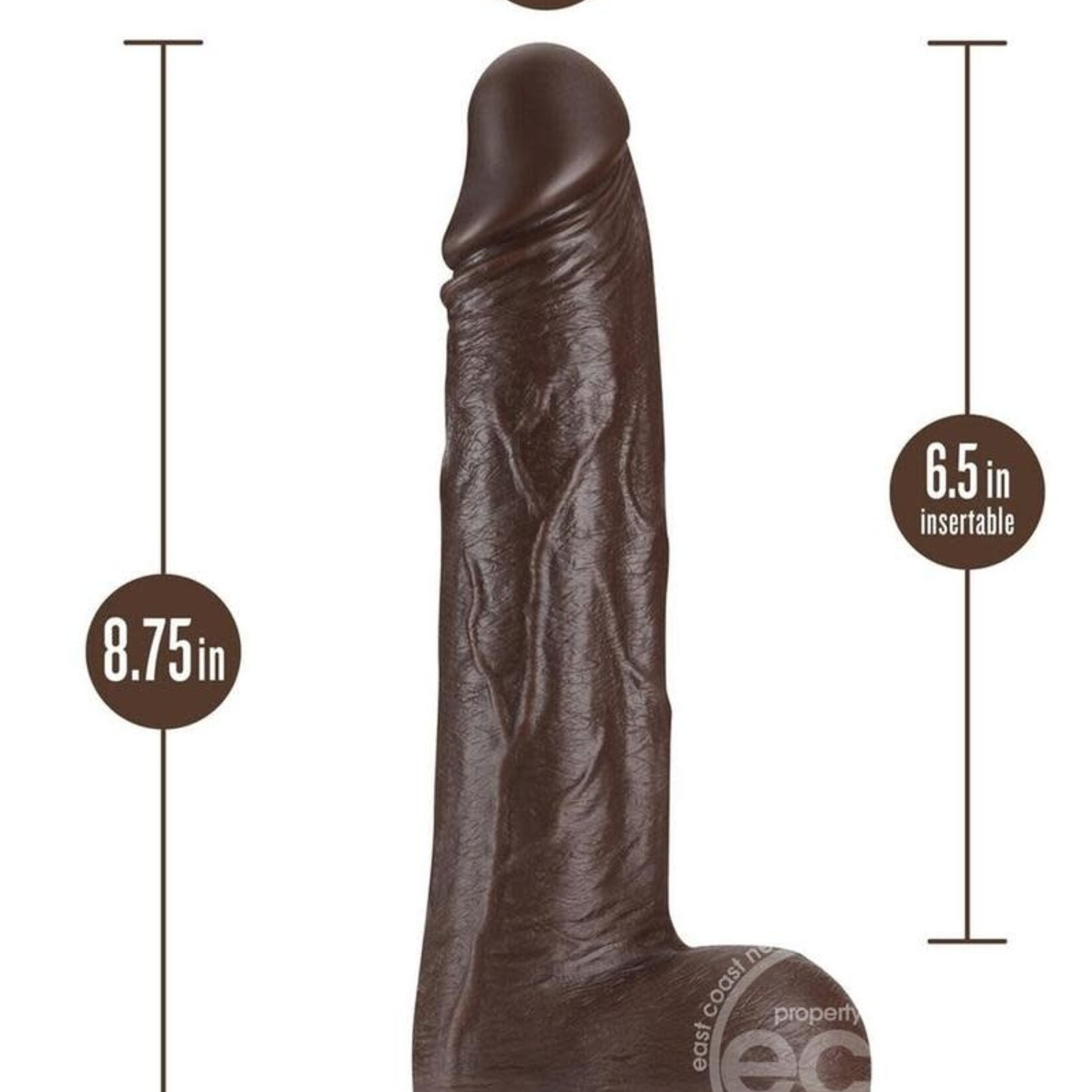 Blush Novelties Dr. Skin Silicone Dr. Murphy Rechargeable Thrusting Dildo with Remote Control 8in - Chocolate
