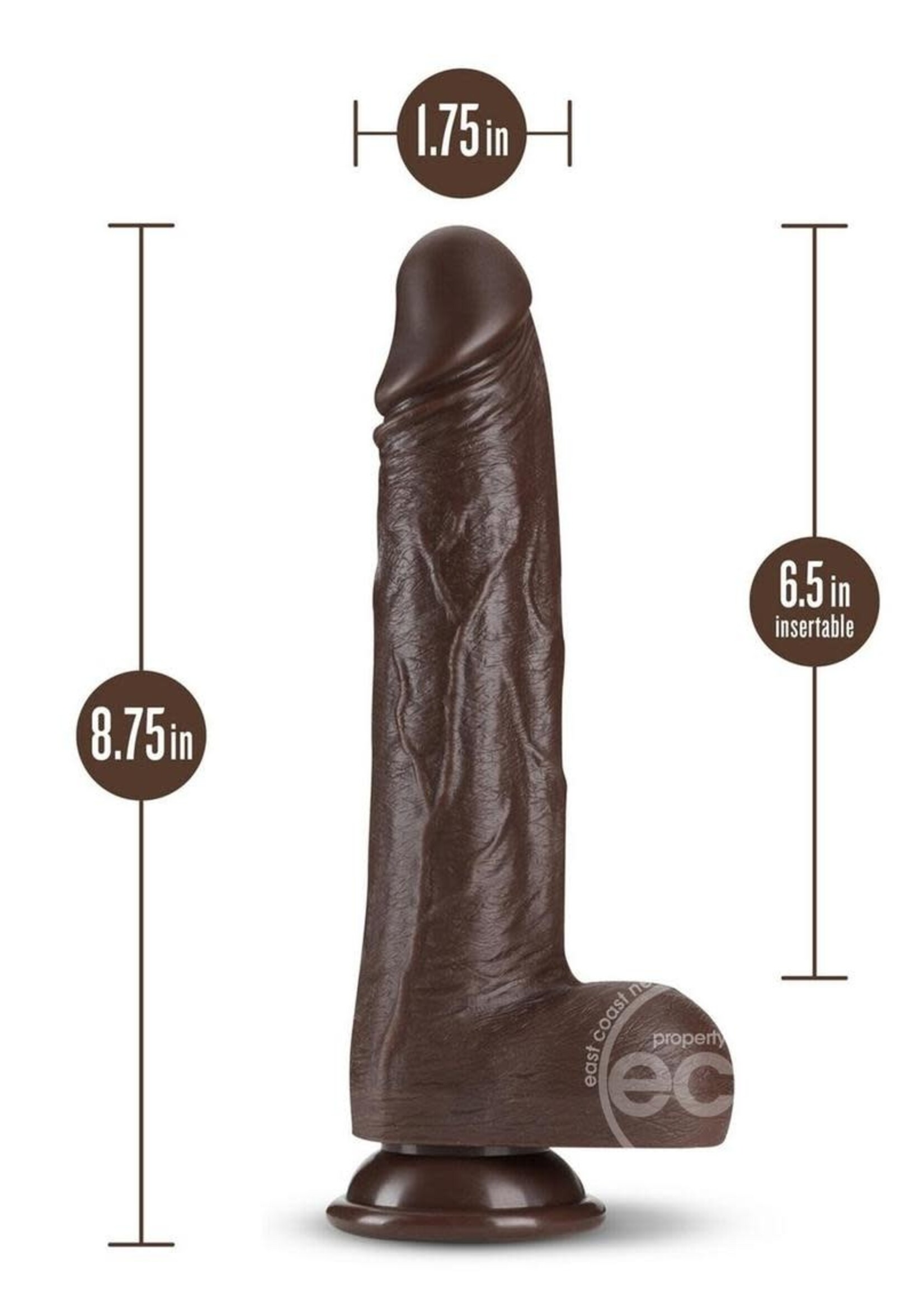 Blush Novelties Dr. Skin Silicone Dr. Murphy Rechargeable Thrusting Dildo with Remote Control 8in - Chocolate
