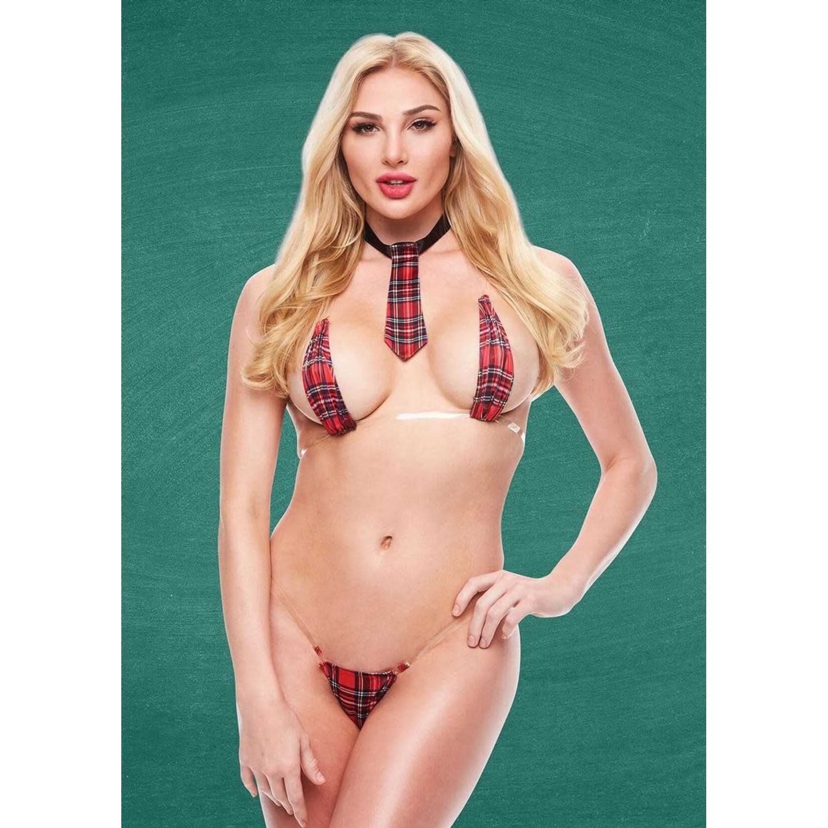 Teacher's Pet 3pc Skimpy Schoolgirl Bikini & Necktie Set