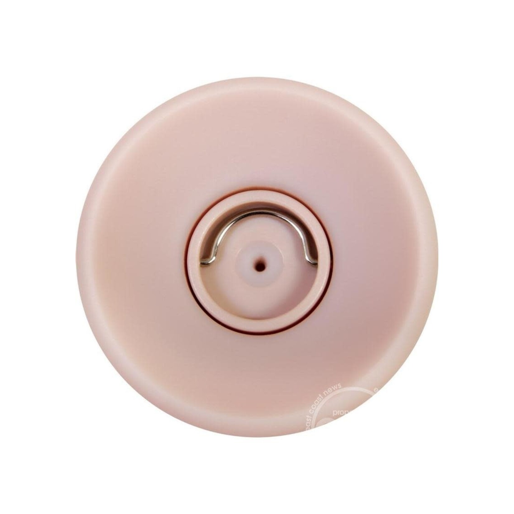 Evolved Novelties Evolved Big Shot Squirting Dildo