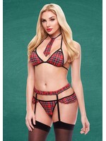 Teacher's Pet 4 pc Sexy Schoolgirl Set