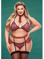 Teacher's Pet 4 pc Sexy Schoolgirl Set - Curvy Collection