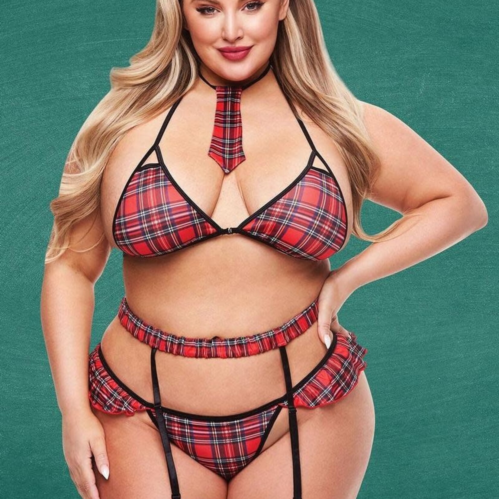 Teacher's Pet 4 pc Sexy Schoolgirl Set - Curvy Collection