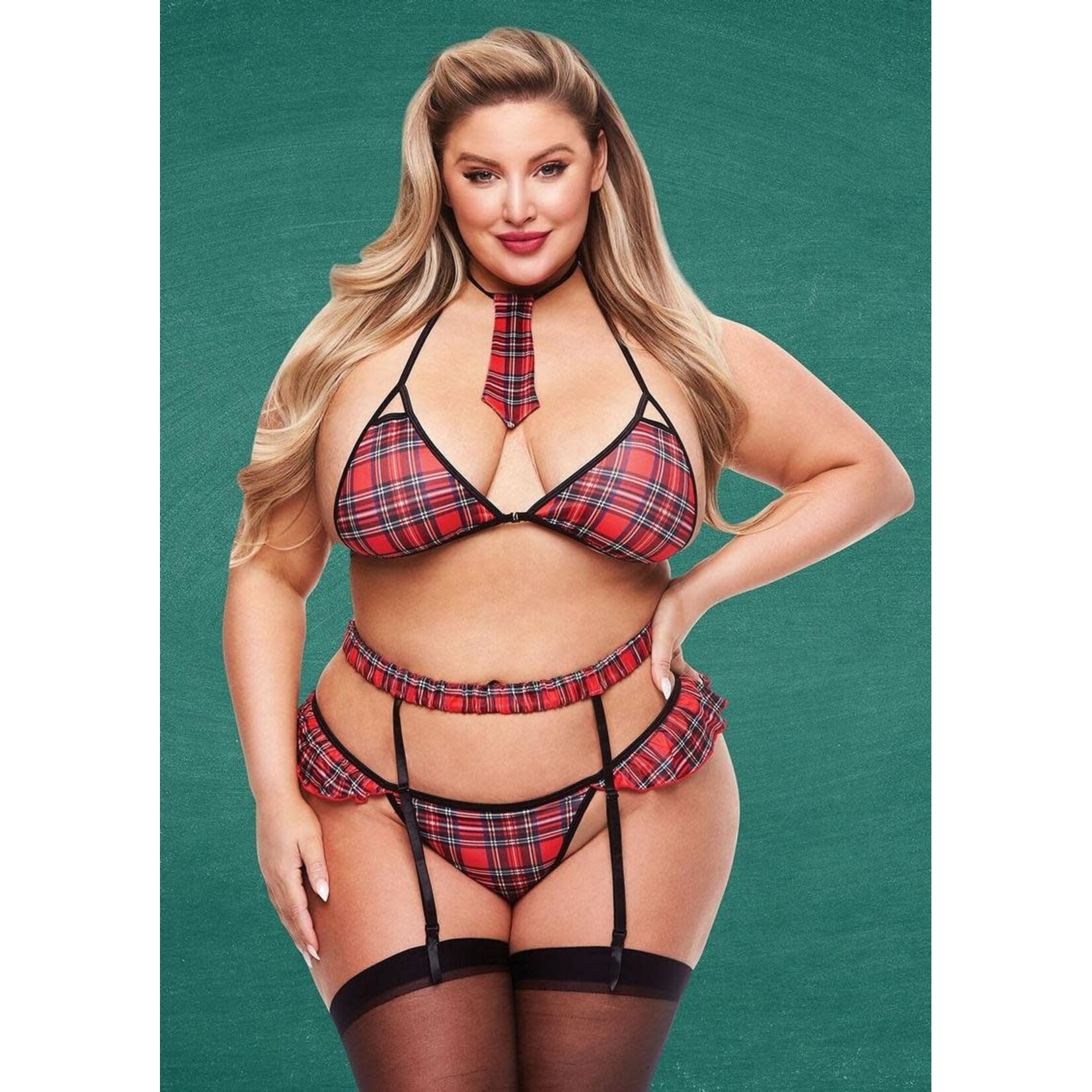 Teacher's Pet 4 pc Sexy Schoolgirl Set - Curvy Collection