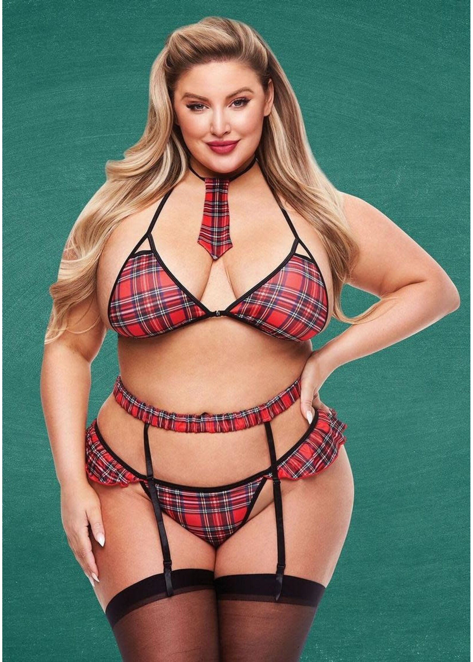 Teacher's Pet 4 pc Sexy Schoolgirl Set - Curvy Collection