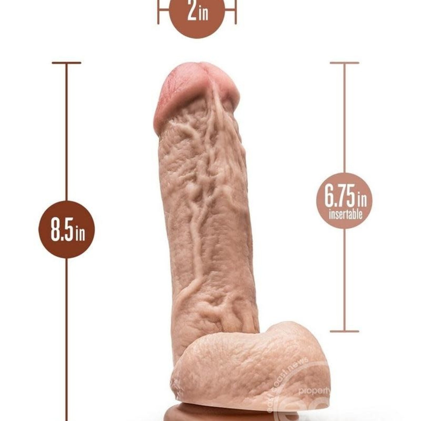 Blush Novelties Dr. Skin Mr. D Dildo with Balls and Suction Cup 8.5in - Vanilla