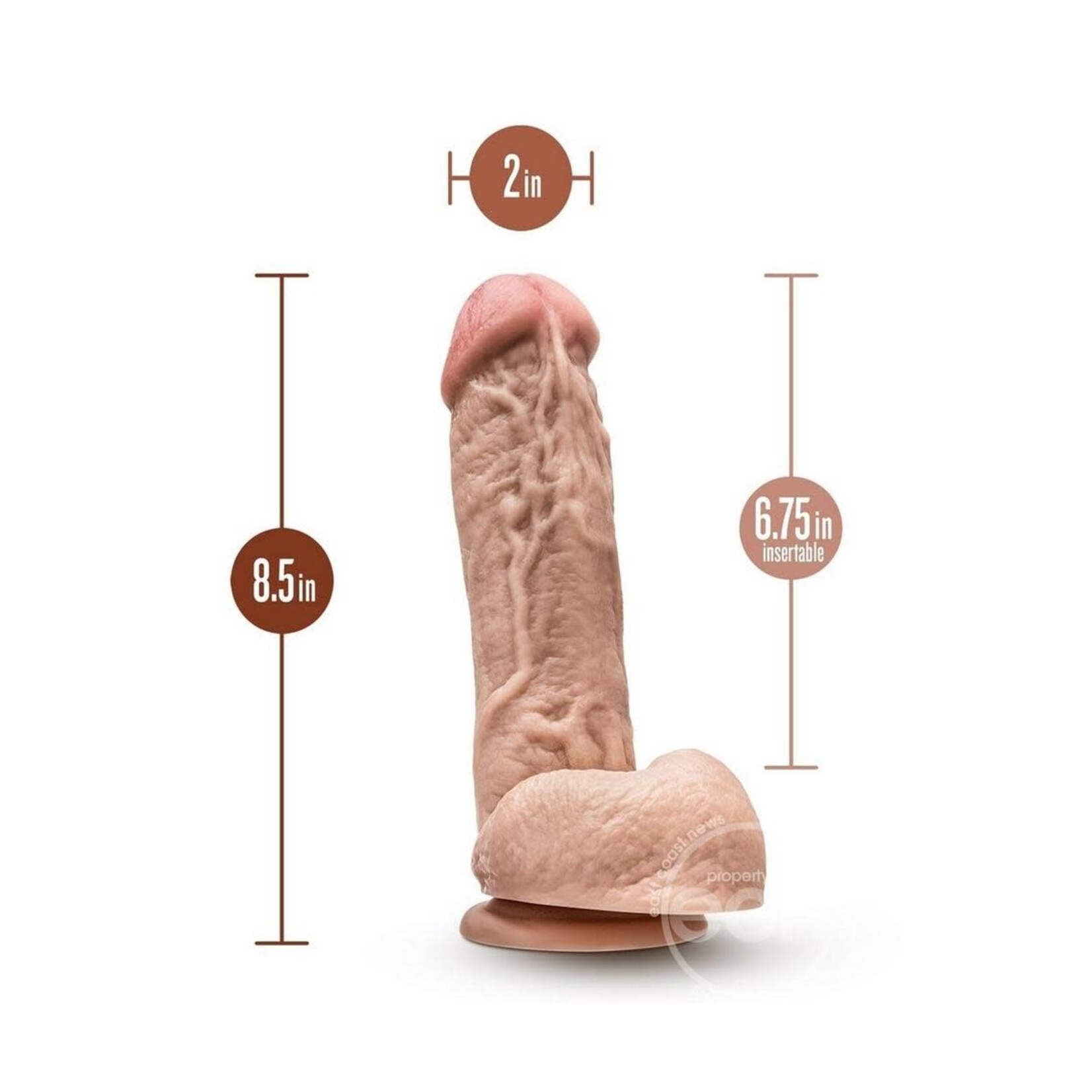 Blush Novelties Dr. Skin Mr. D Dildo with Balls and Suction Cup 8.5in - Vanilla