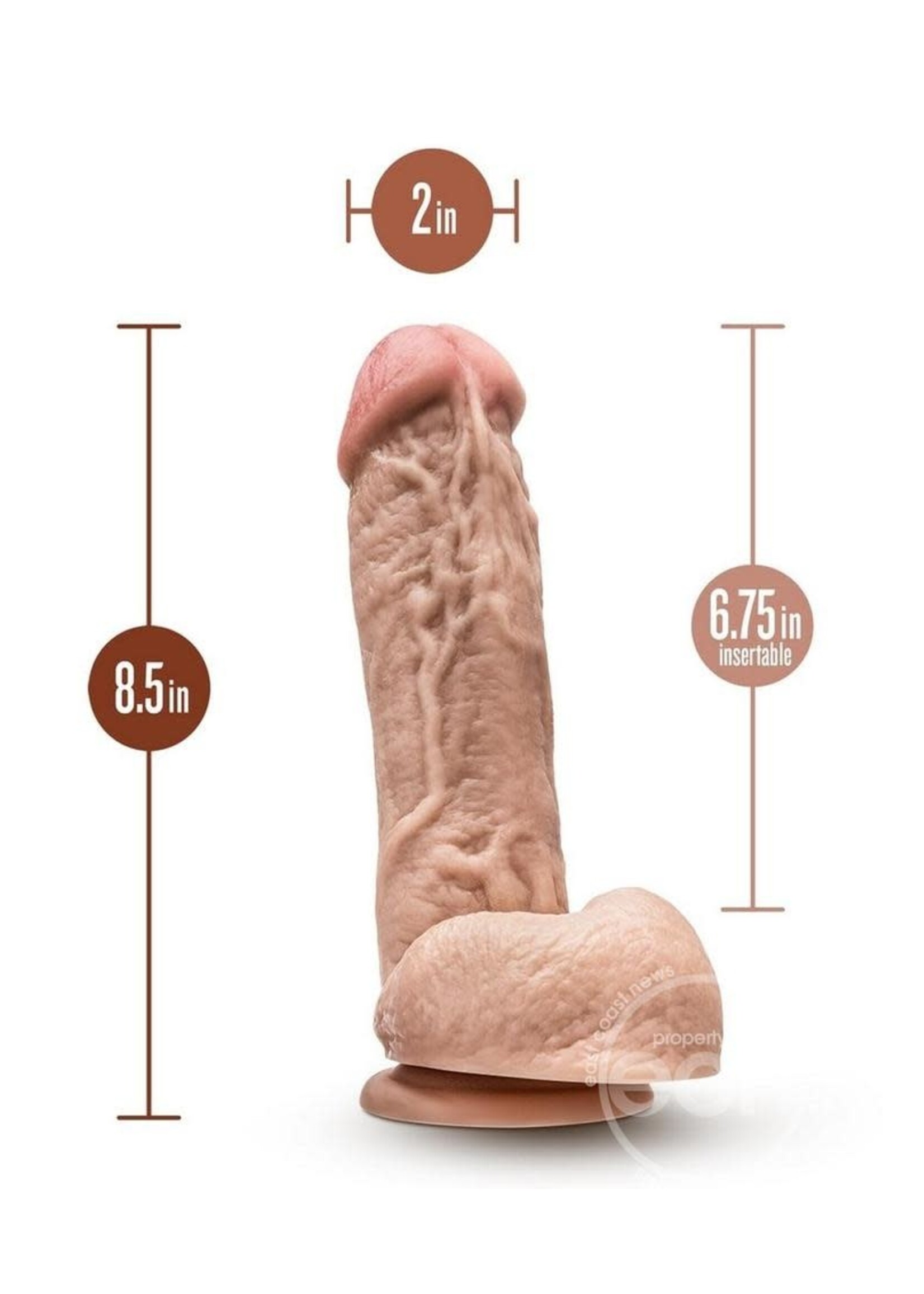 Blush Novelties Dr. Skin Mr. D Dildo with Balls and Suction Cup 8.5in - Vanilla