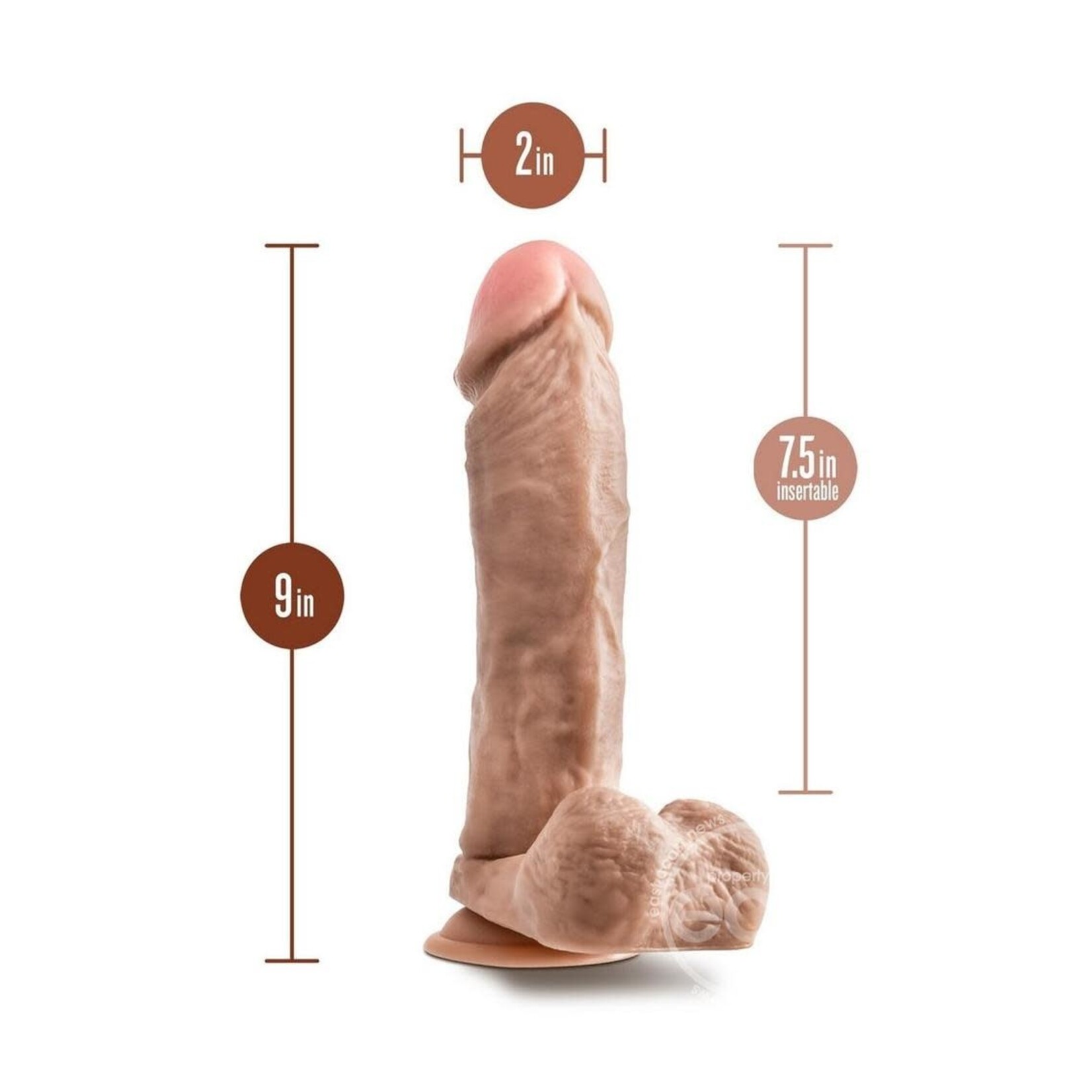 Blush Novelties Dr. Skin Mr. Magic Dildo with Balls and Suction Cup 9in - Vanilla