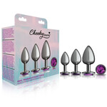 Viben Cheeky Charms  Metal Butt Plug Anal Trainer Kit
