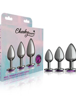 Viben Cheeky Charms  Metal Butt Plug Anal Trainer Kit