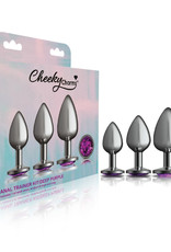 Viben Cheeky Charms  Metal Butt Plug Anal Trainer Kit