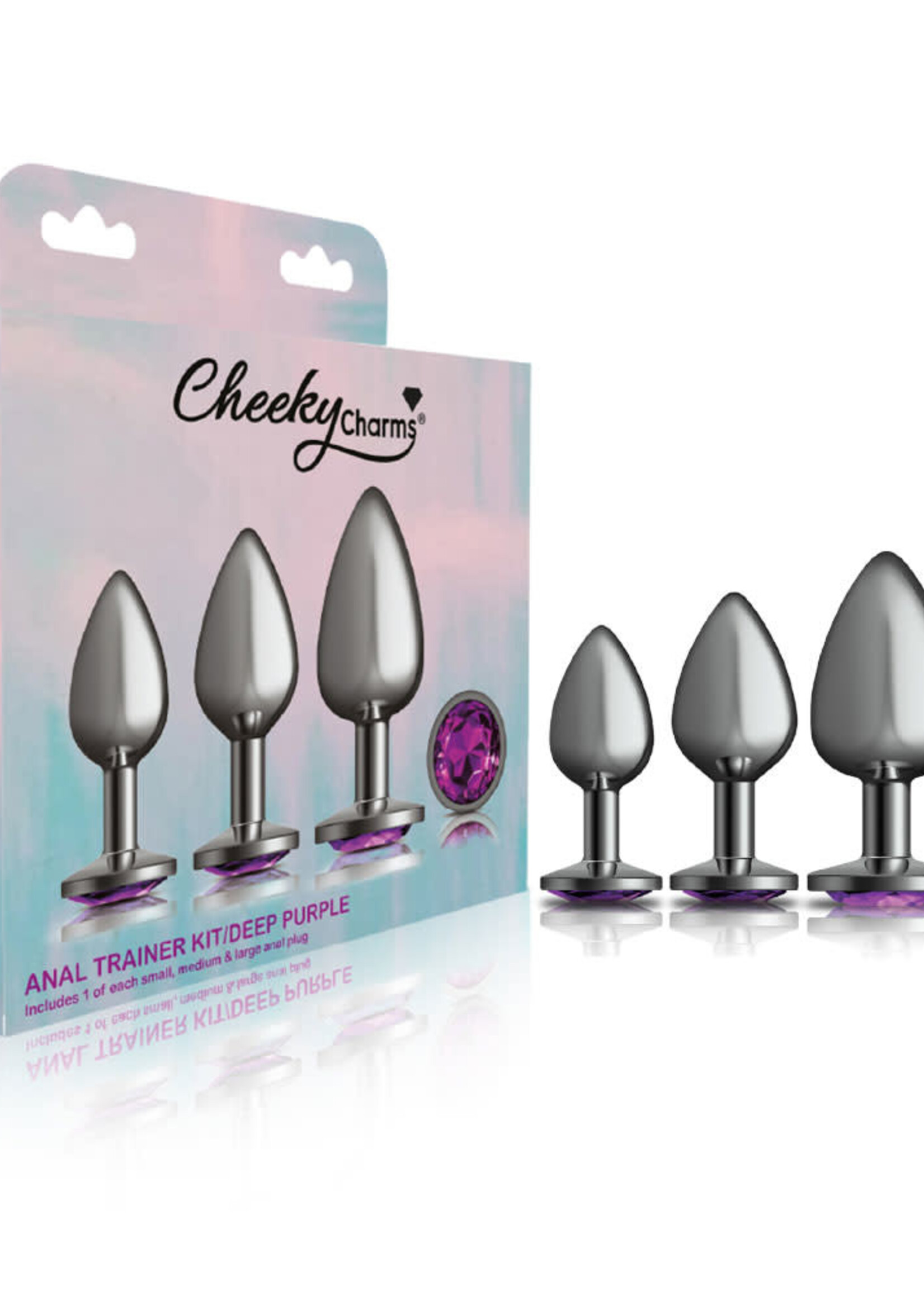 Viben Cheeky Charms  Metal Butt Plug Anal Trainer Kit