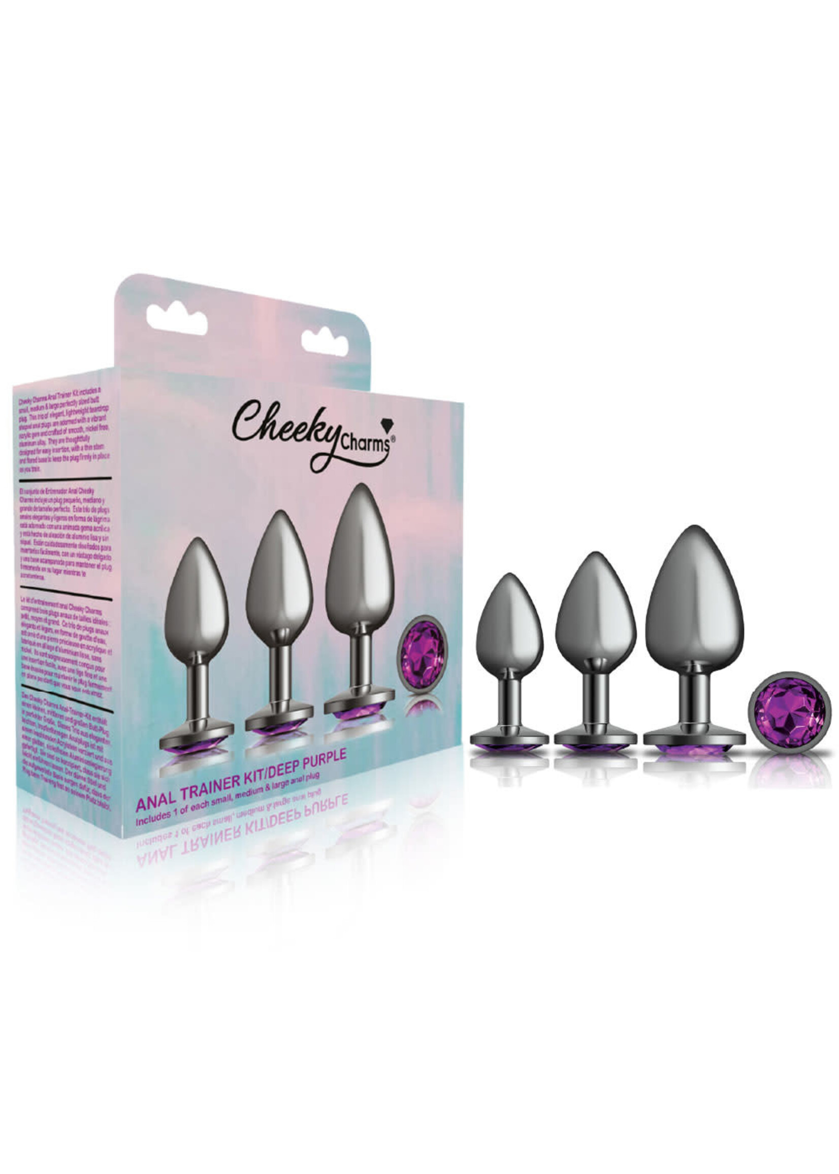 Viben Cheeky Charms  Metal Butt Plug Anal Trainer Kit