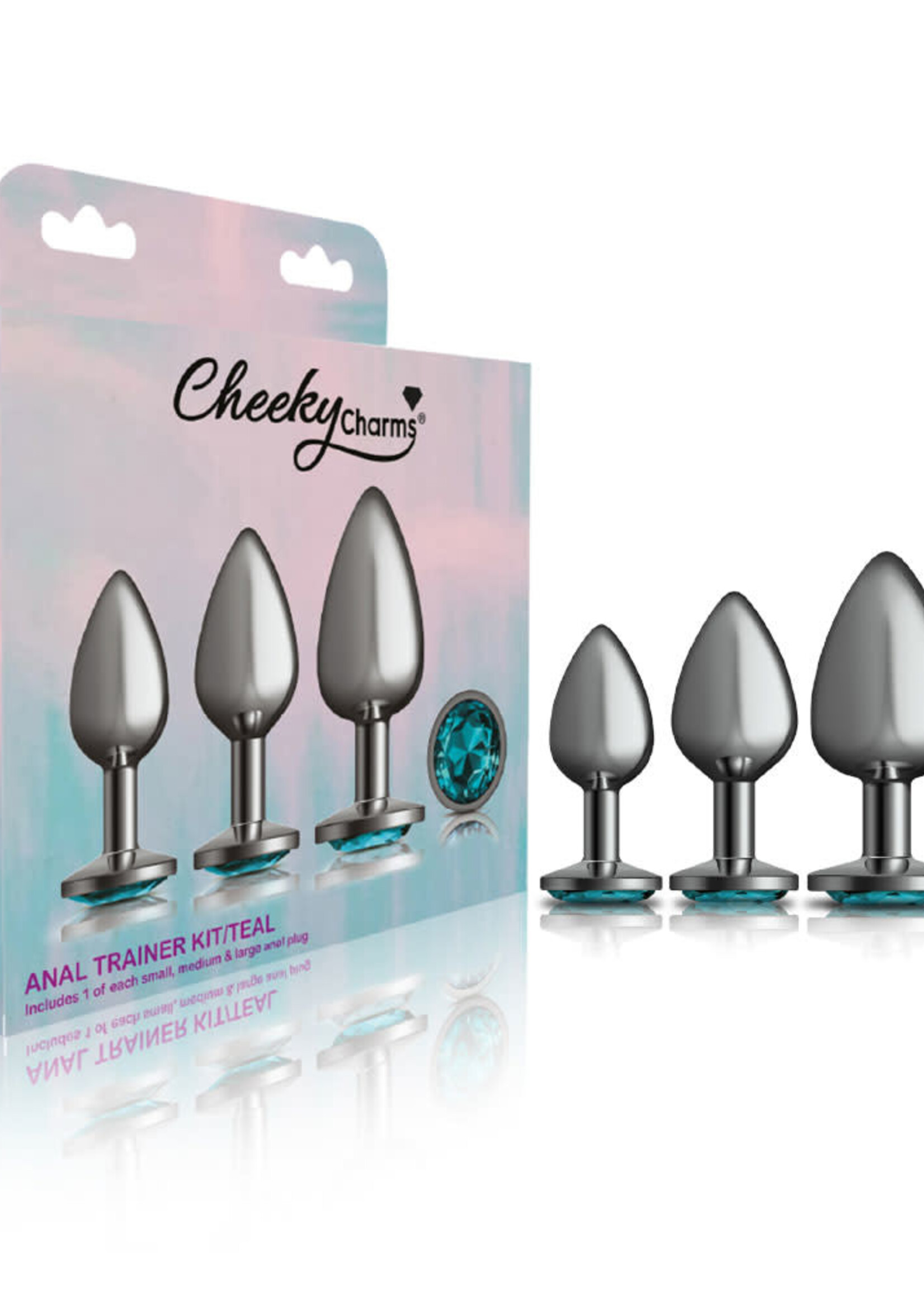 Viben Cheeky Charms  Metal Butt Plug Anal Trainer Kit