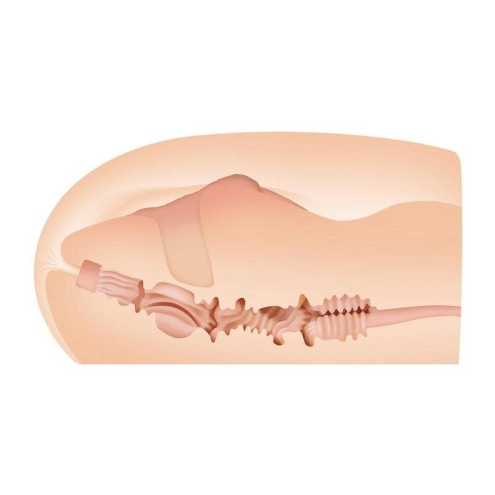 Zero Tolerance Zero Tolerance Sasha Grey Stroker - Ass and Vagina - Vanilla