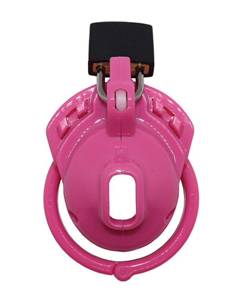 Locked in Lust Locked In Lust The Vice Clitty - Pink