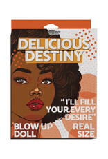 HOTT PRODUCTS Delicious Destiny Blow Up Doll