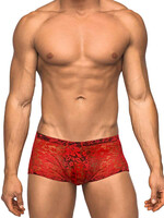 Male Power Stretch Lace Mini Short Red