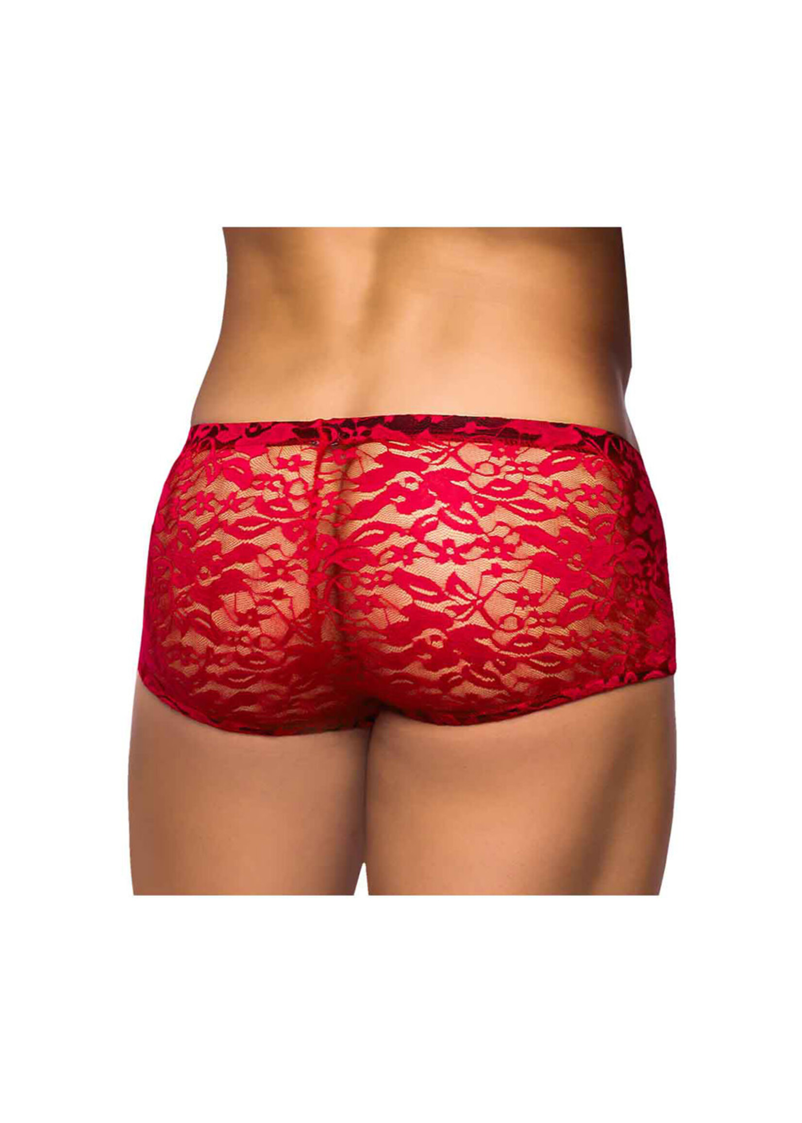 Male Power Stretch Lace Mini Short Red