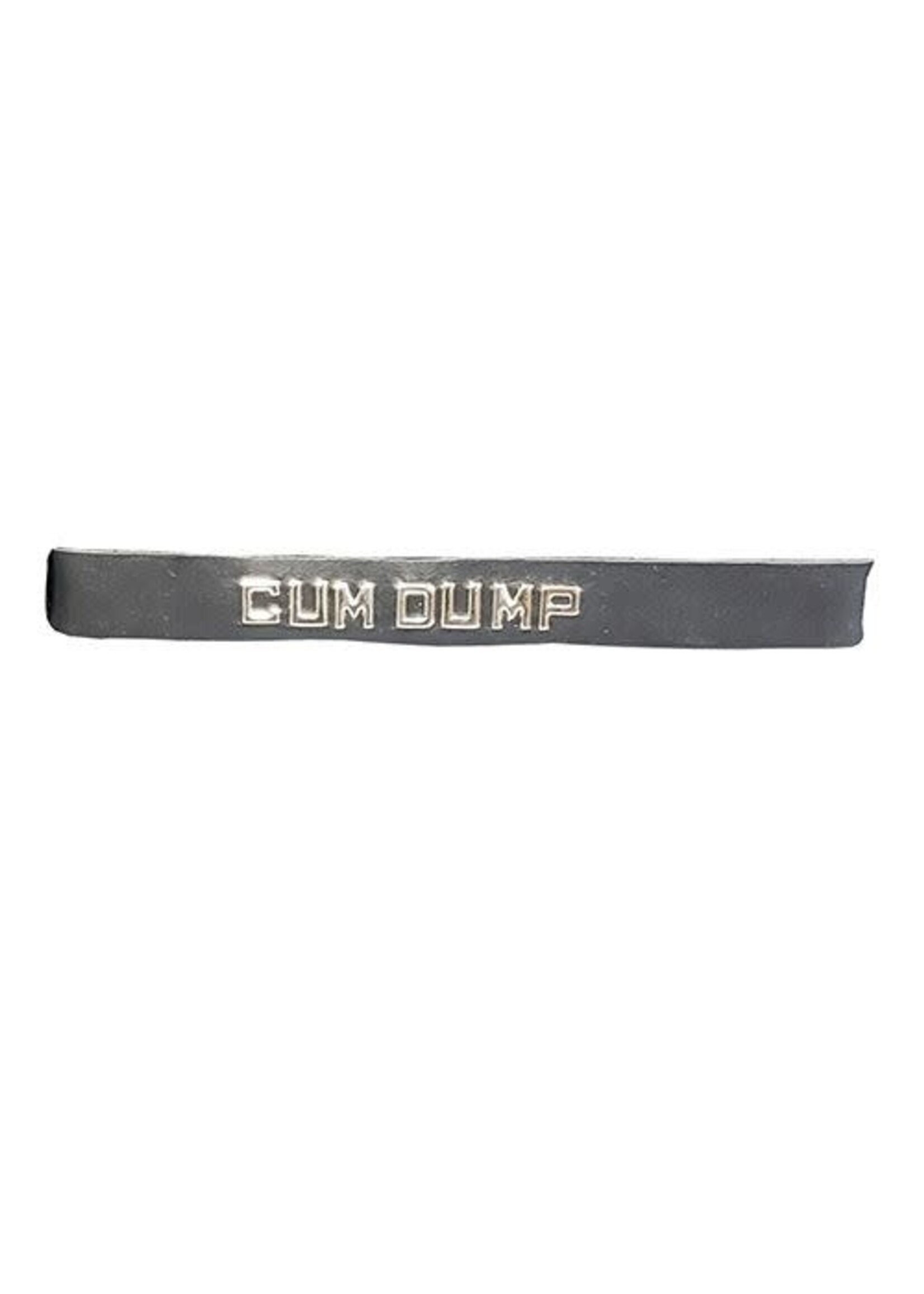 Spartacus Spartacus Leather ID Collar - O/S