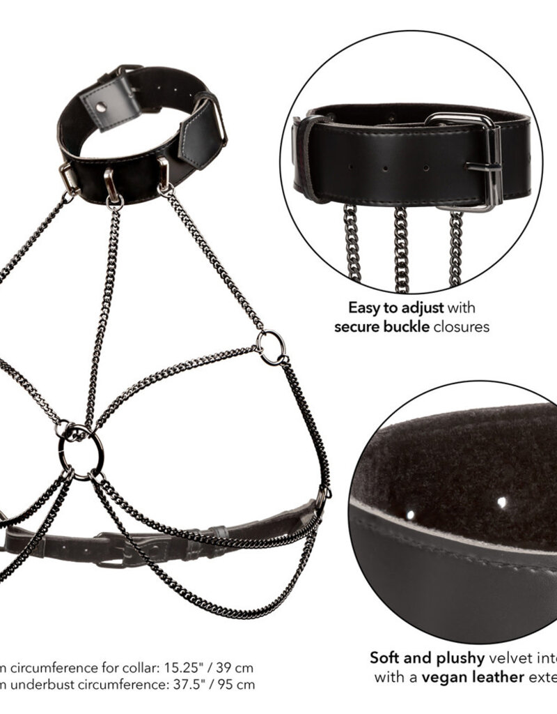 Calexotics Euphoria Collection Multi Chain Collar Harness