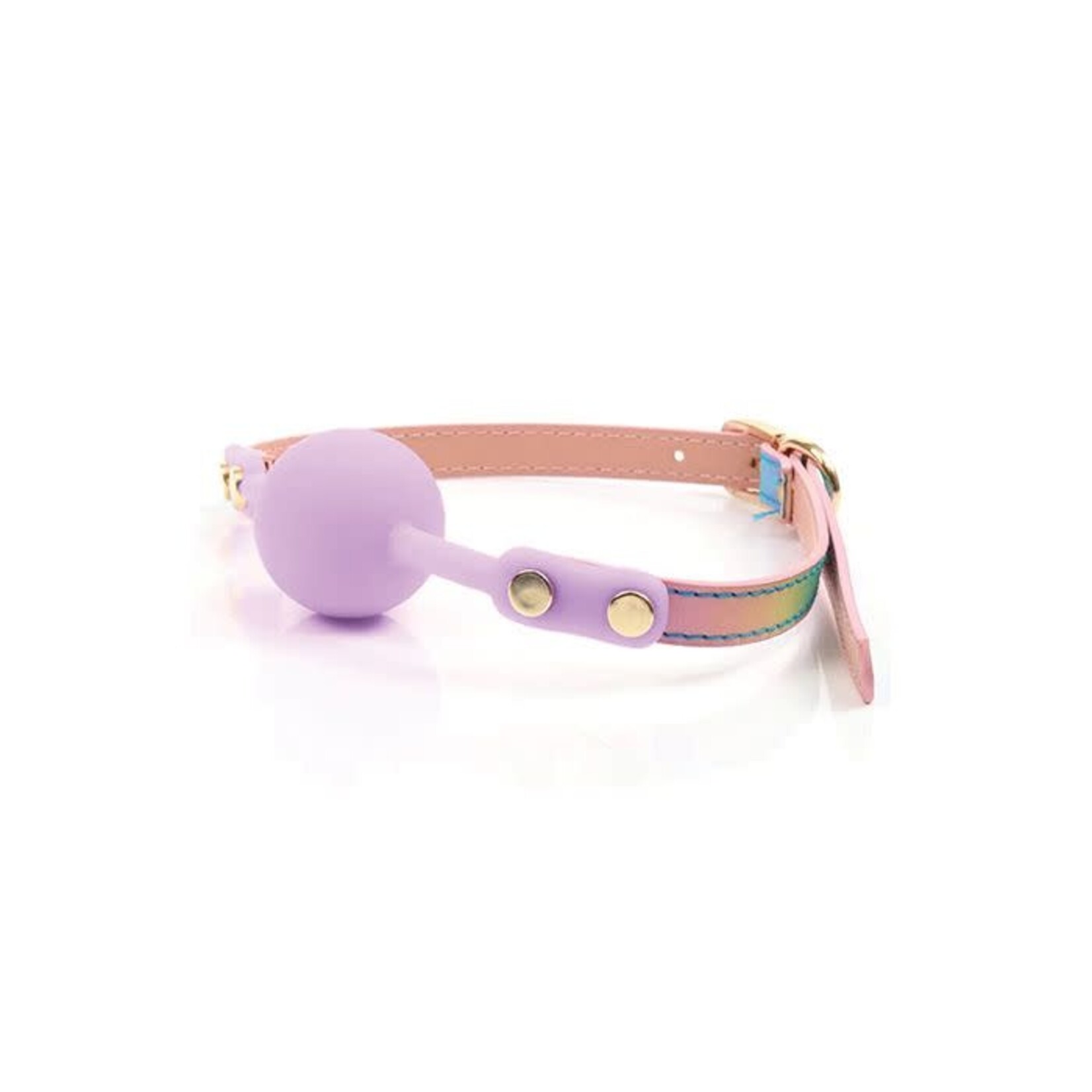 Thank Me Now Brands Hello Sexy! Gag Order - Iridescent Rainbow