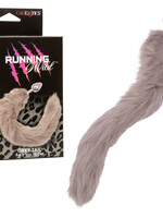 Calexotics Running Wild Tail Plug