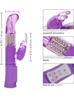 Shane's World Shane's World Jack Rabbit "G"