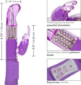 Shane's World Shane's World Jack Rabbit "G"