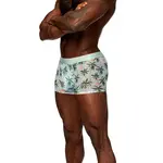 Male Power Sheer Prints Seamless Sheer Short Flamingo