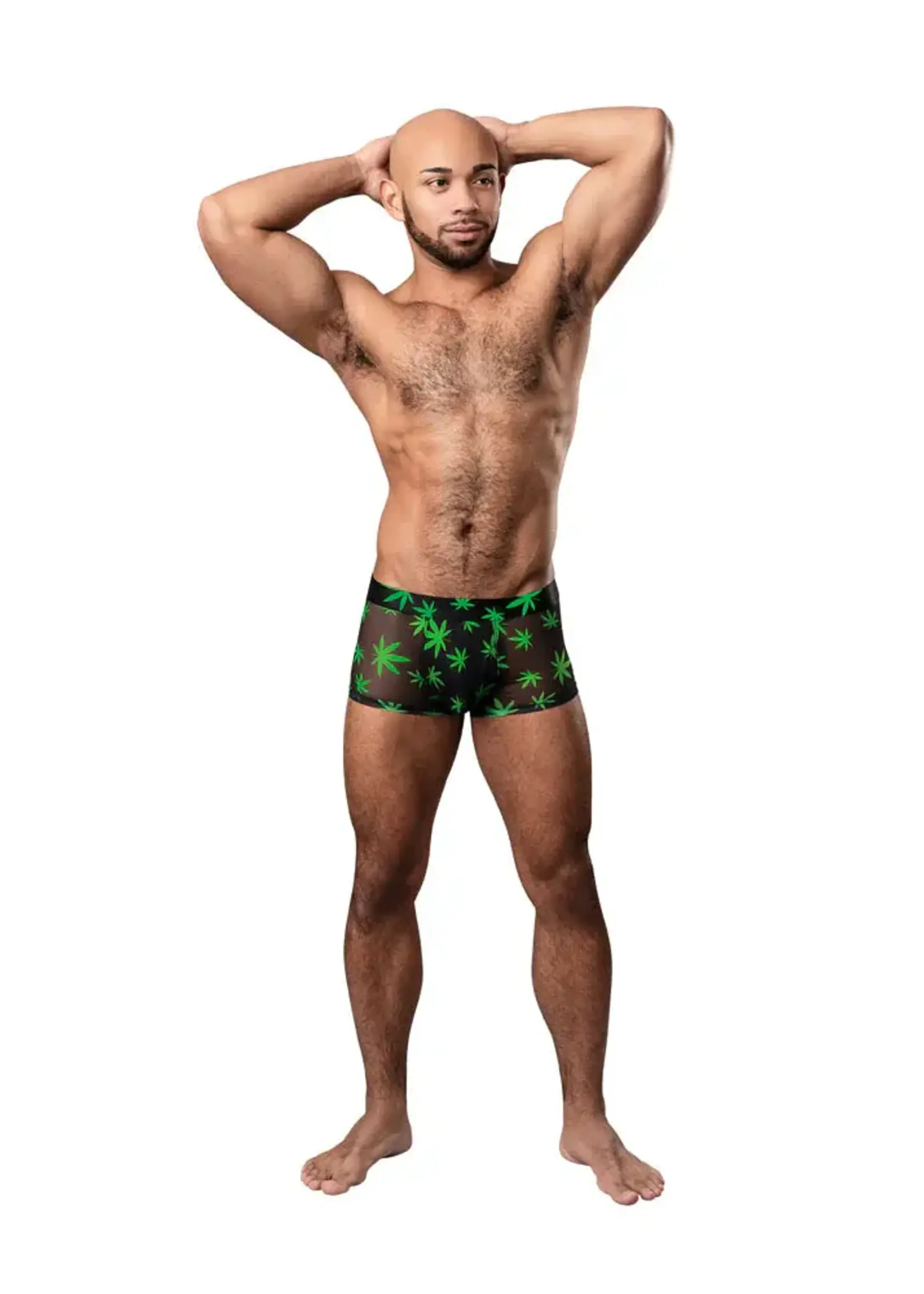 Male Power Hazy Dayz - Pouch Short - Pot Leaf