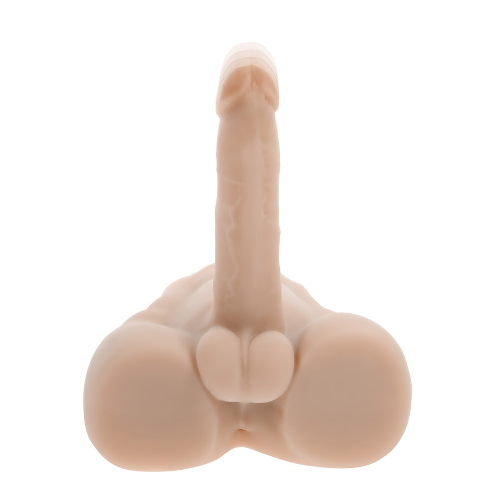 Evolved Novelties Easy Rider Light