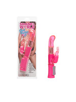 Shane's World Shane's World Jack Rabbit "G"