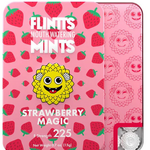 Flintts Mints Flintts Mints