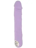 Evolved Novelties Large Purple Fantasy Rechargeable Silicone Vibrator