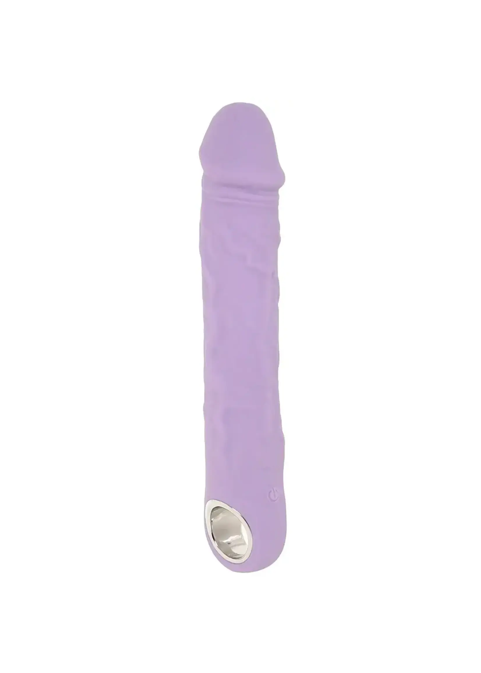Evolved Novelties Large Purple Fantasy Rechargeable Silicone Vibrator