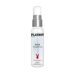 Playboy Pleasure` Playboy Pleasure Slick Strawberry Flavored Lubricant 4 Oz