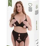 Baci Peek-A-Boo 3pc Set - Curvy Queen Size
