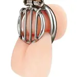 Electric Novelties Lockmaster Stainless Steel Inverted Micro Chastity Cage - Silver