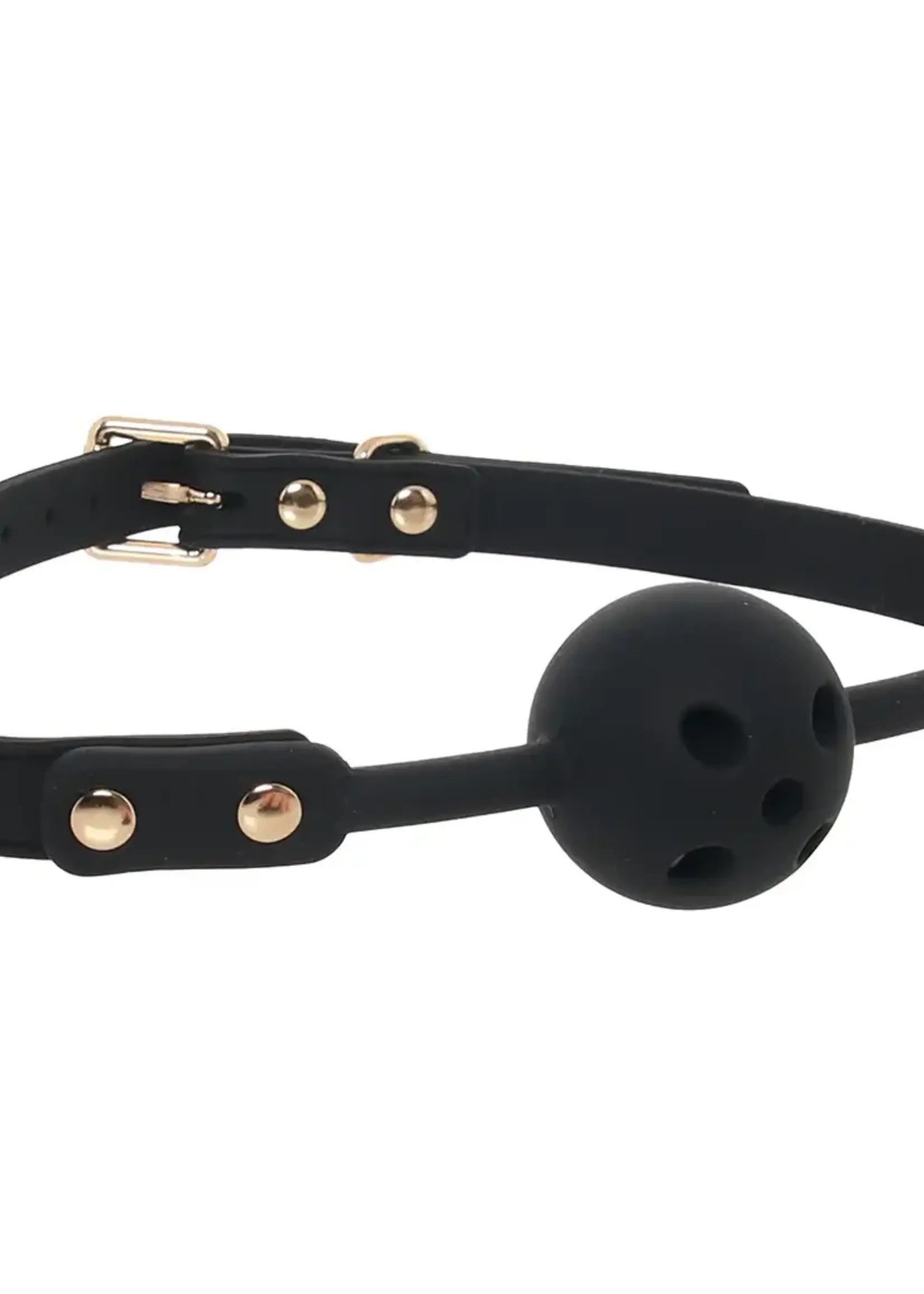 Blush Temptasia Ardor Ball Gag