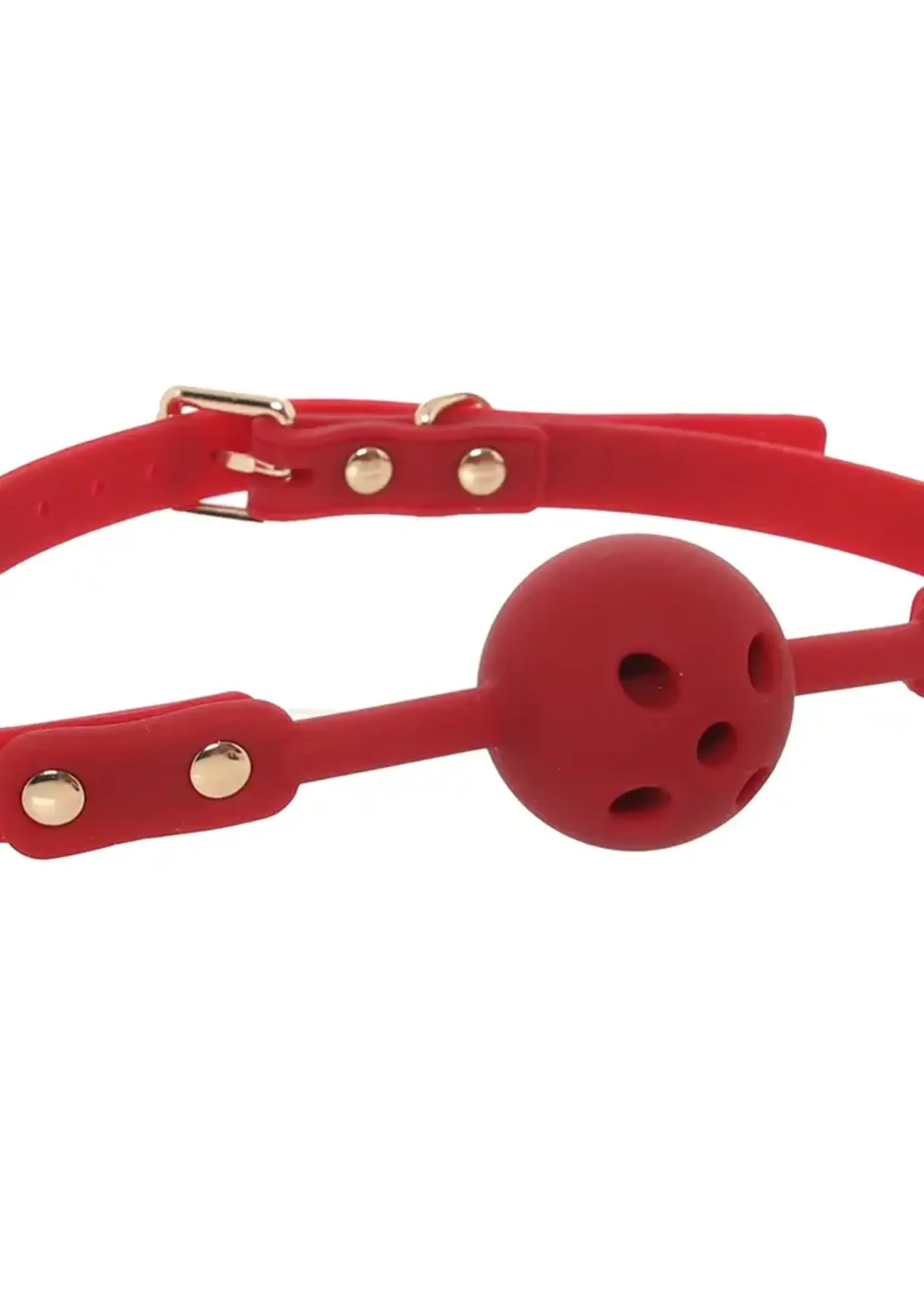 Blush Temptasia Ardor Ball Gag