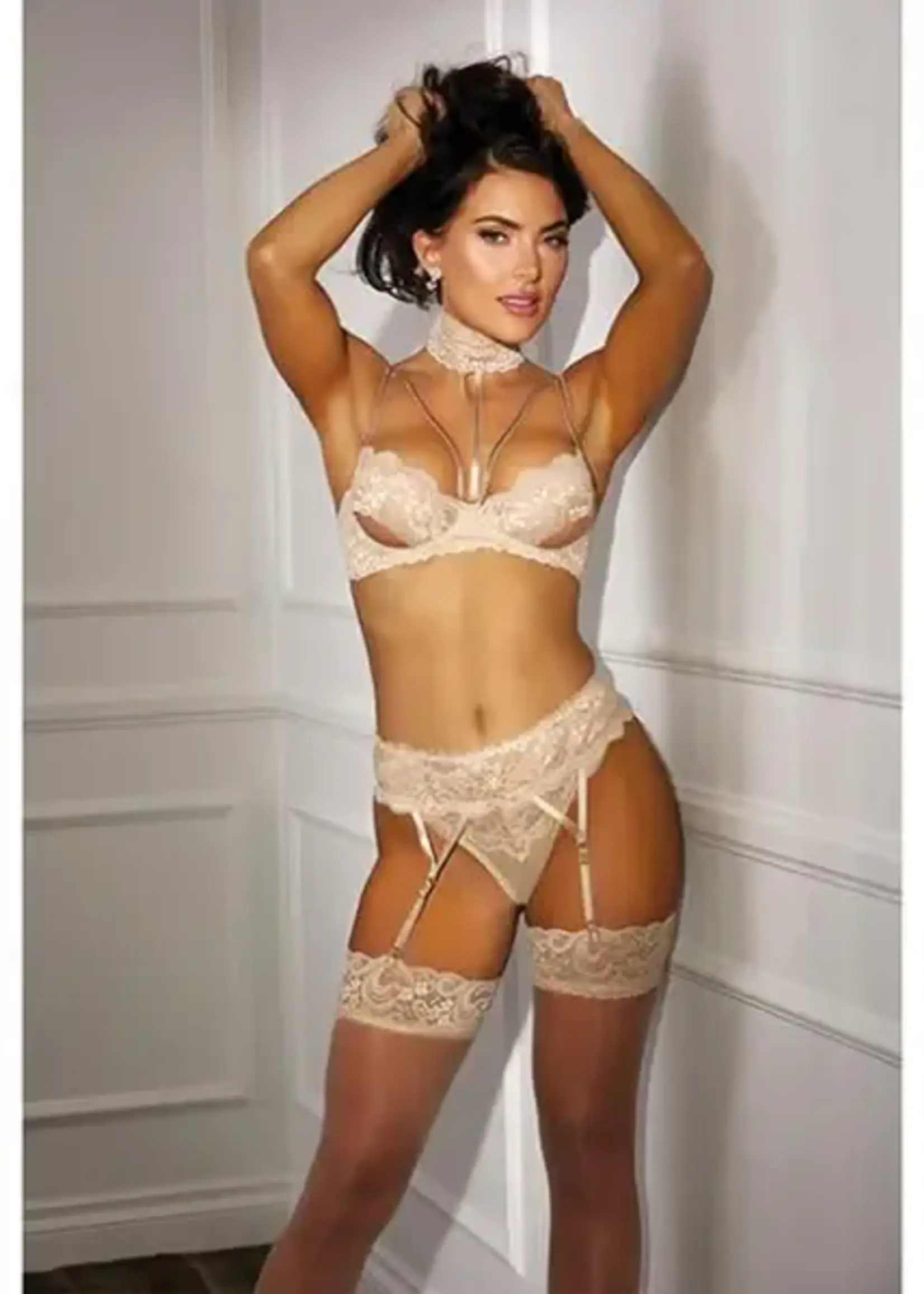 Shirley of Hollywood Beautiful Stretch Lace Garterbelt - Nude