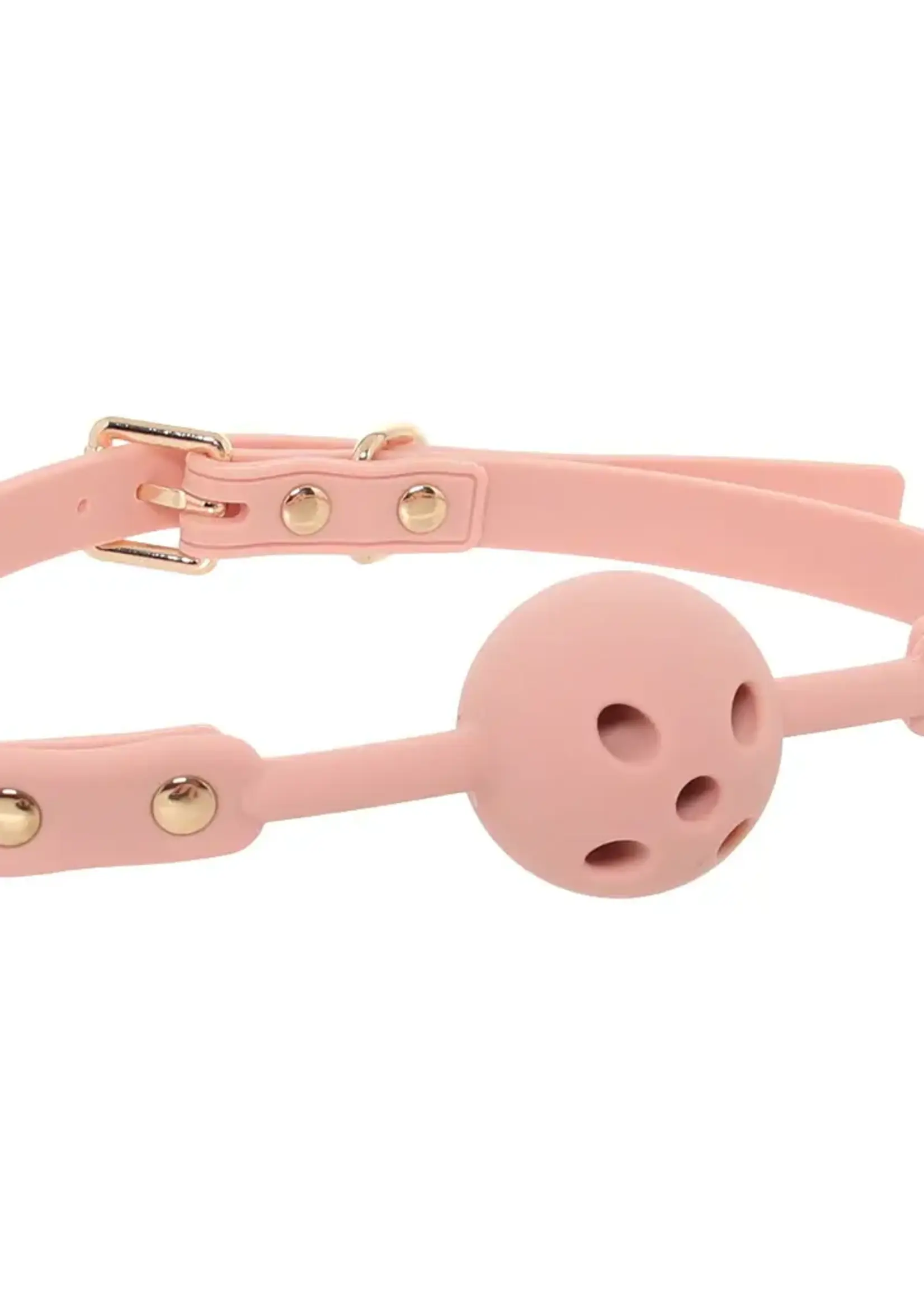Blush Temptasia Ardor Ball Gag
